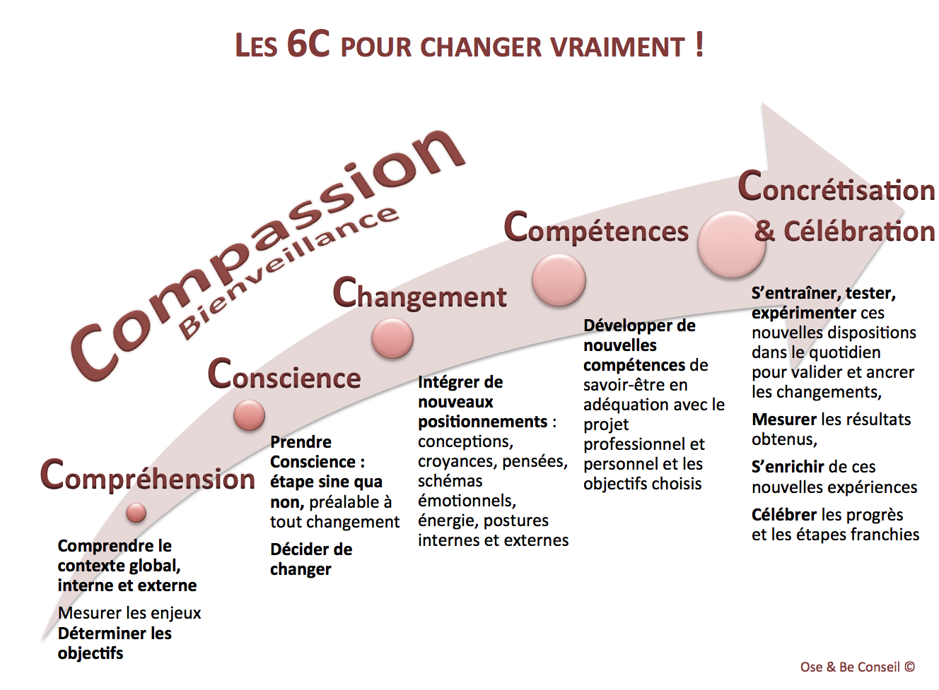 les6C